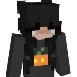 sokken33 Minecraft avatar bust