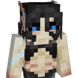 solarr_png Minecraft avatar bust