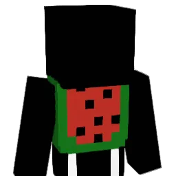 solarsass Minecraft avatar bust