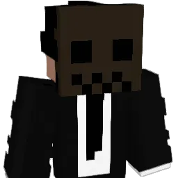 solish11 Minecraft avatar bust