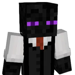solo07770 Minecraft avatar bust