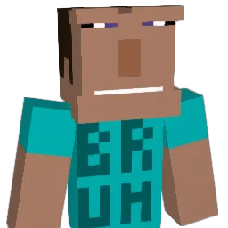 solokill360 Minecraft avatar bust