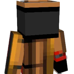sometigncoulelse Minecraft avatar bust