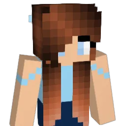 somsiad69 Minecraft avatar bust