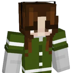 sonagroceries Minecraft avatar bust