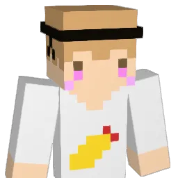 sonfn_ Minecraft avatar bust