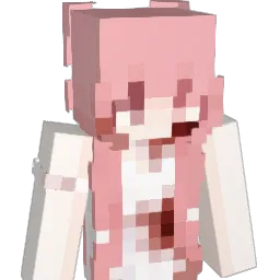 songslwt's Minecraft skin