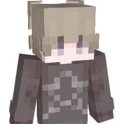 sonhangu Minecraft avatar bust