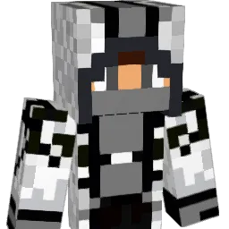 sonicwolf123's Minecraft skin