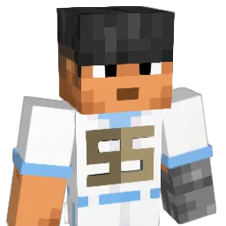 sonssi12 Minecraft avatar bust