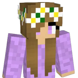 sony4691 Minecraft avatar bust