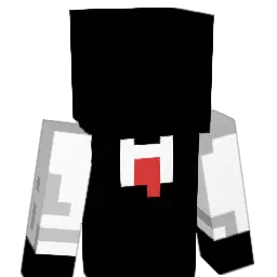 soojun22 Minecraft avatar bust