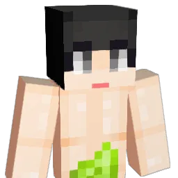 soondubu77 Minecraft avatar bust