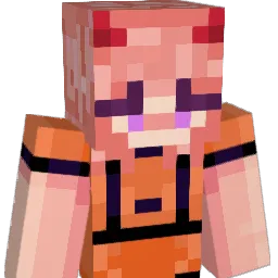 sopadearroz1 Minecraft avatar bust
