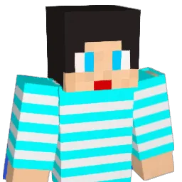 sora091300 Minecraft avatar bust