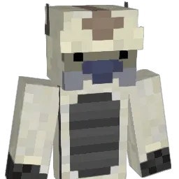 sorella_bee Minecraft avatar bust
