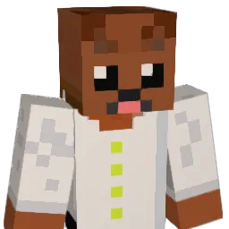 sota220 Minecraft avatar bust