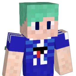 sota2486 Minecraft avatar bust