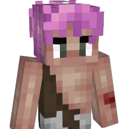 soulsMC Minecraft avatar bust