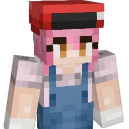 soup_64 Minecraft avatar bust