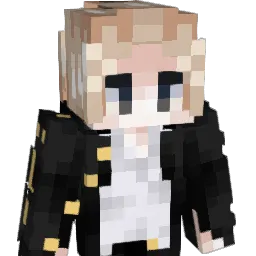 soup_extra Minecraft avatar bust