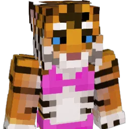 soupytigerr