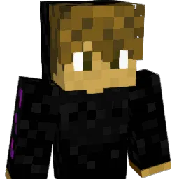 sowerdoh Minecraft avatar bust