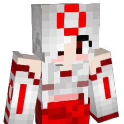 spaceplatypus17 Minecraft avatar bust