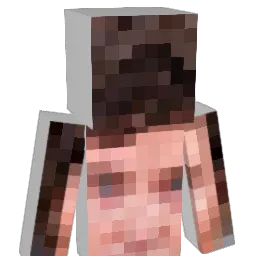 spache010 Minecraft avatar bust