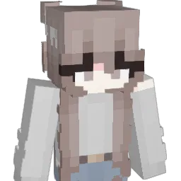 speci3l Minecraft avatar bust
