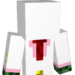 speed24681 Minecraft avatar bust