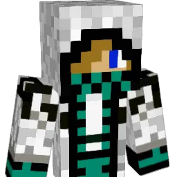 speedwout1 Minecraft avatar bust