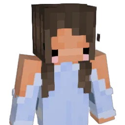 spicyhat Minecraft avatar bust