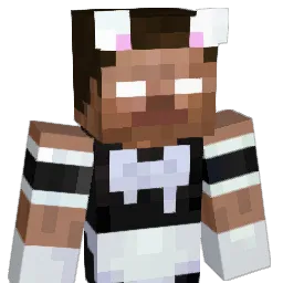 spicymeatball110 Minecraft avatar bust