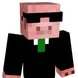 spiderpig1010 Minecraft avatar bust