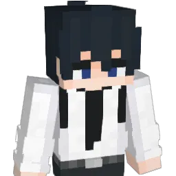 splitzerr9