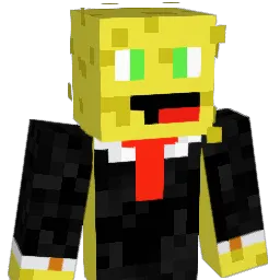spongy91 Minecraft avatar bust