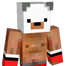 spotlightz84 Minecraft avatar bust