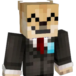 spydercam50O Minecraft avatar bust