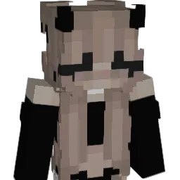 sq2v Minecraft avatar bust