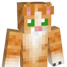 squirtle256 Minecraft avatar bust