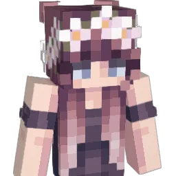 squishy2506 Minecraft avatar bust