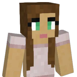 srb1 Minecraft avatar bust