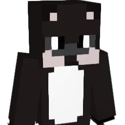 srn7717 Minecraft avatar bust