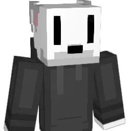srup_ Minecraft avatar bust
