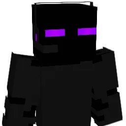 srvdmy4usn Minecraft avatar bust