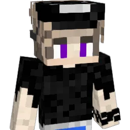 ss33dd00 Minecraft avatar bust