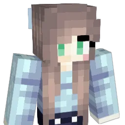 ssk09032 Minecraft avatar bust