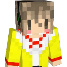 ssnm Minecraft avatar bust