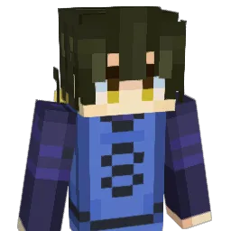 sss1020 Minecraft avatar bust